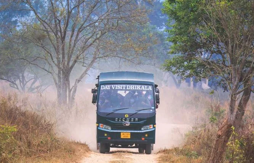 Dhikala Canter Safari