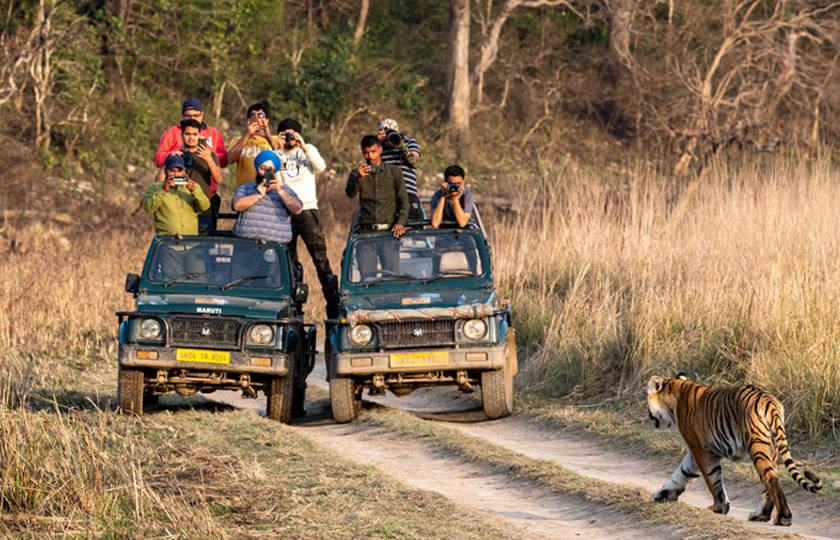 Delhi to Corbett Tour